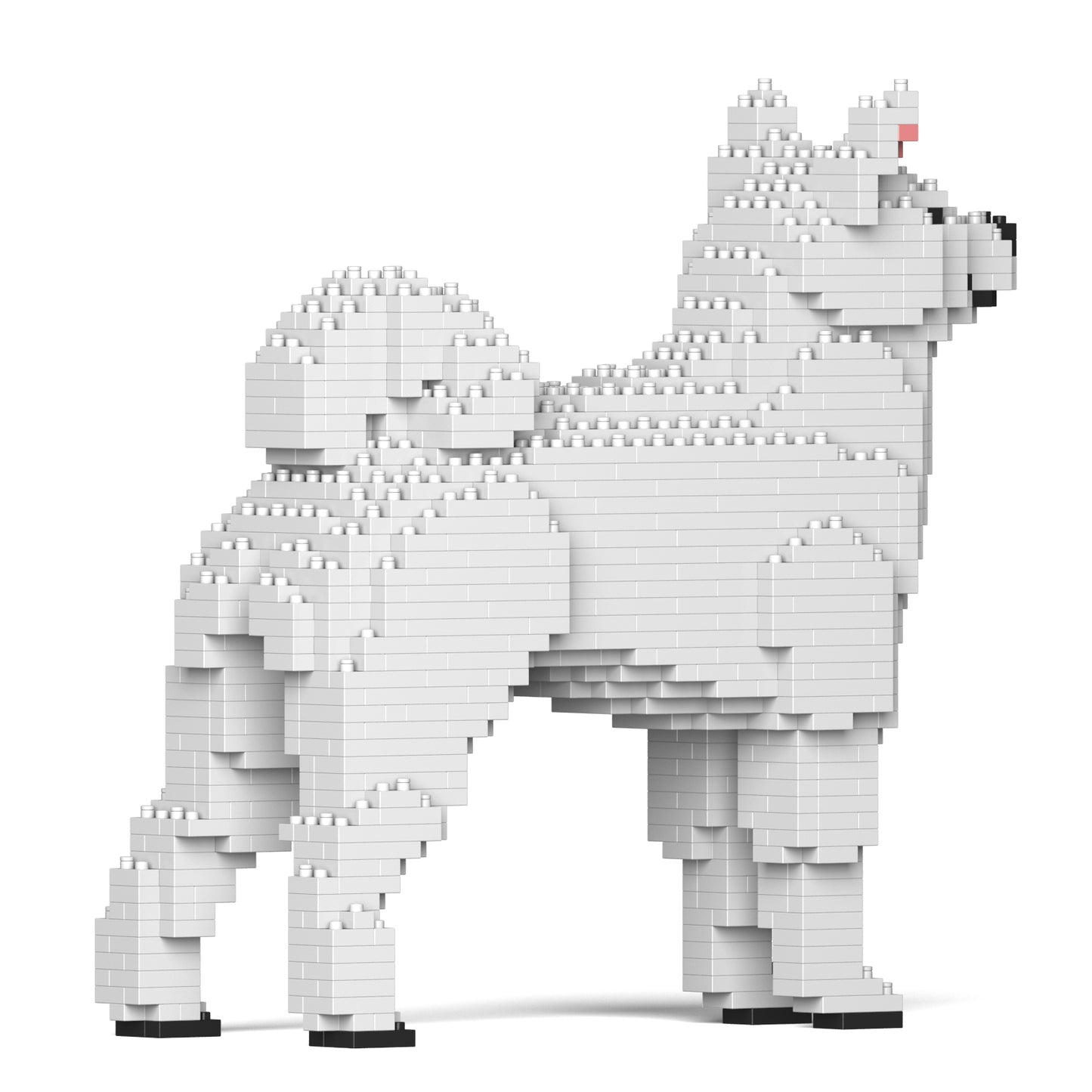 柴犬01-M03