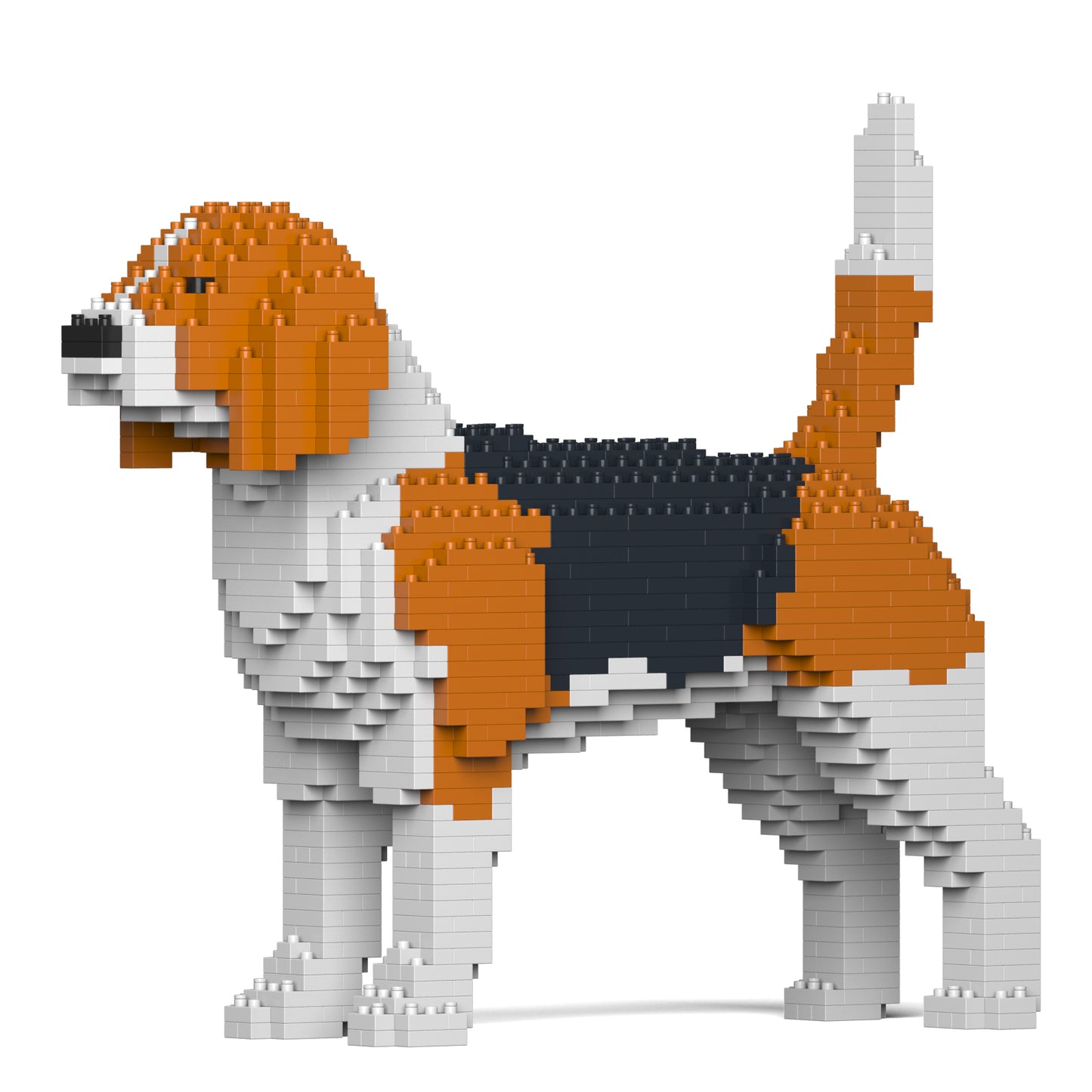 小獵犬01