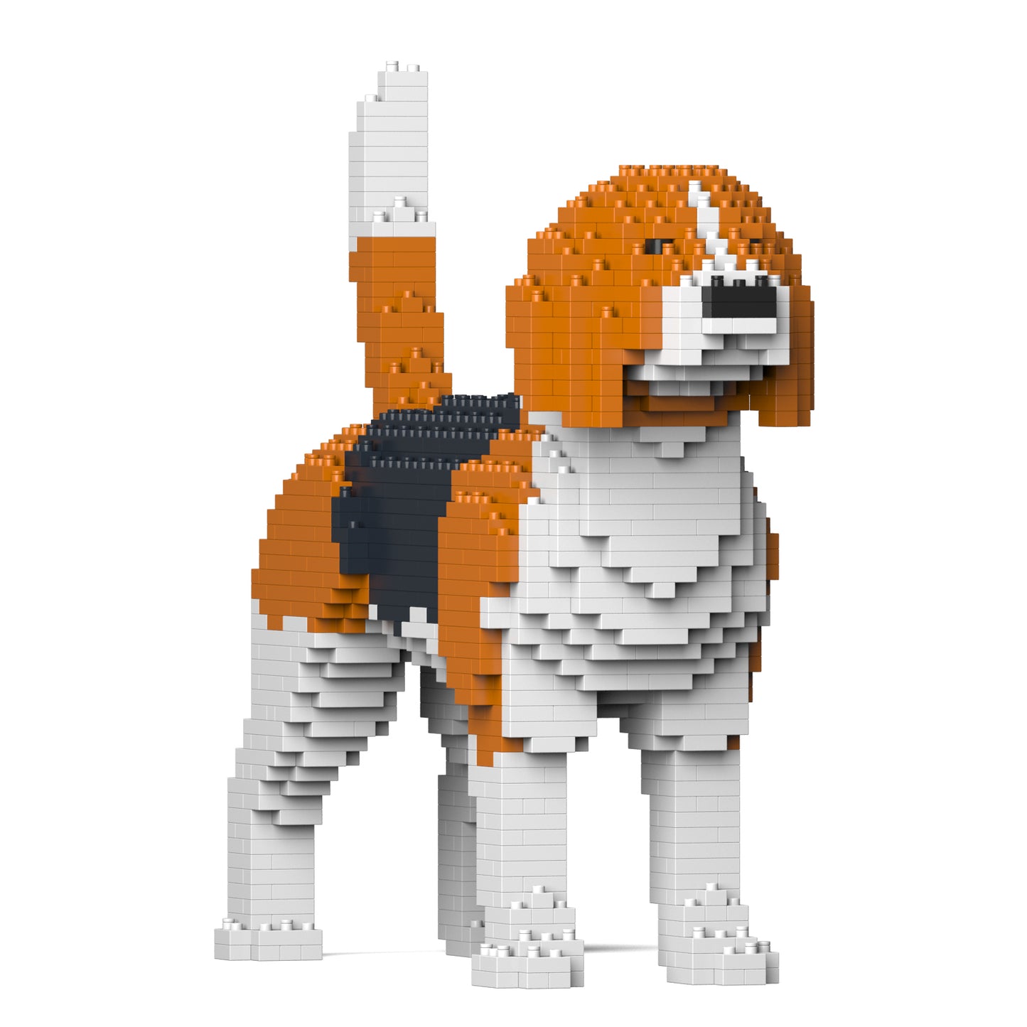小獵犬01