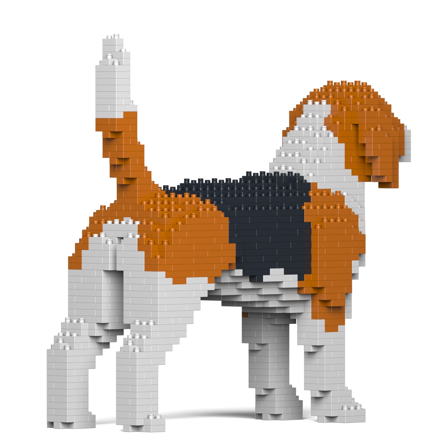 小獵犬01