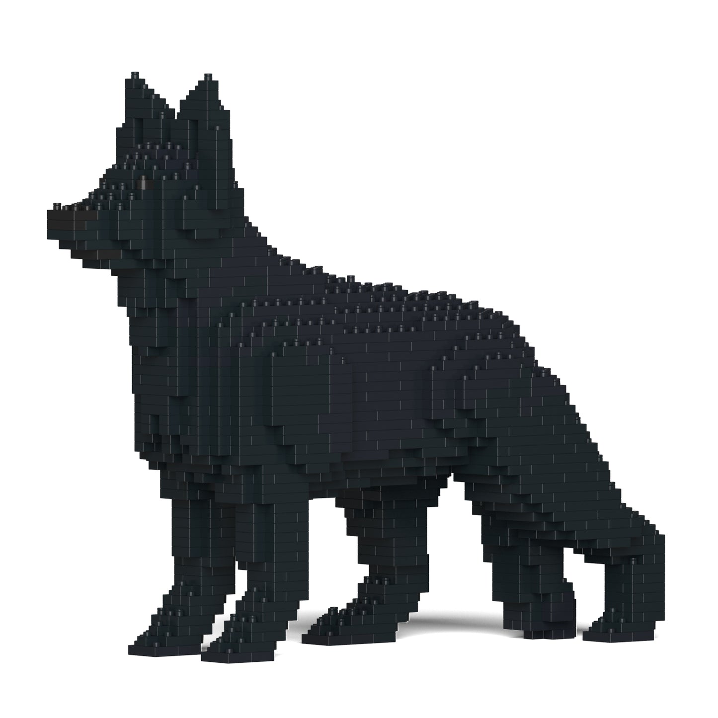 德國牧羊犬01-M03