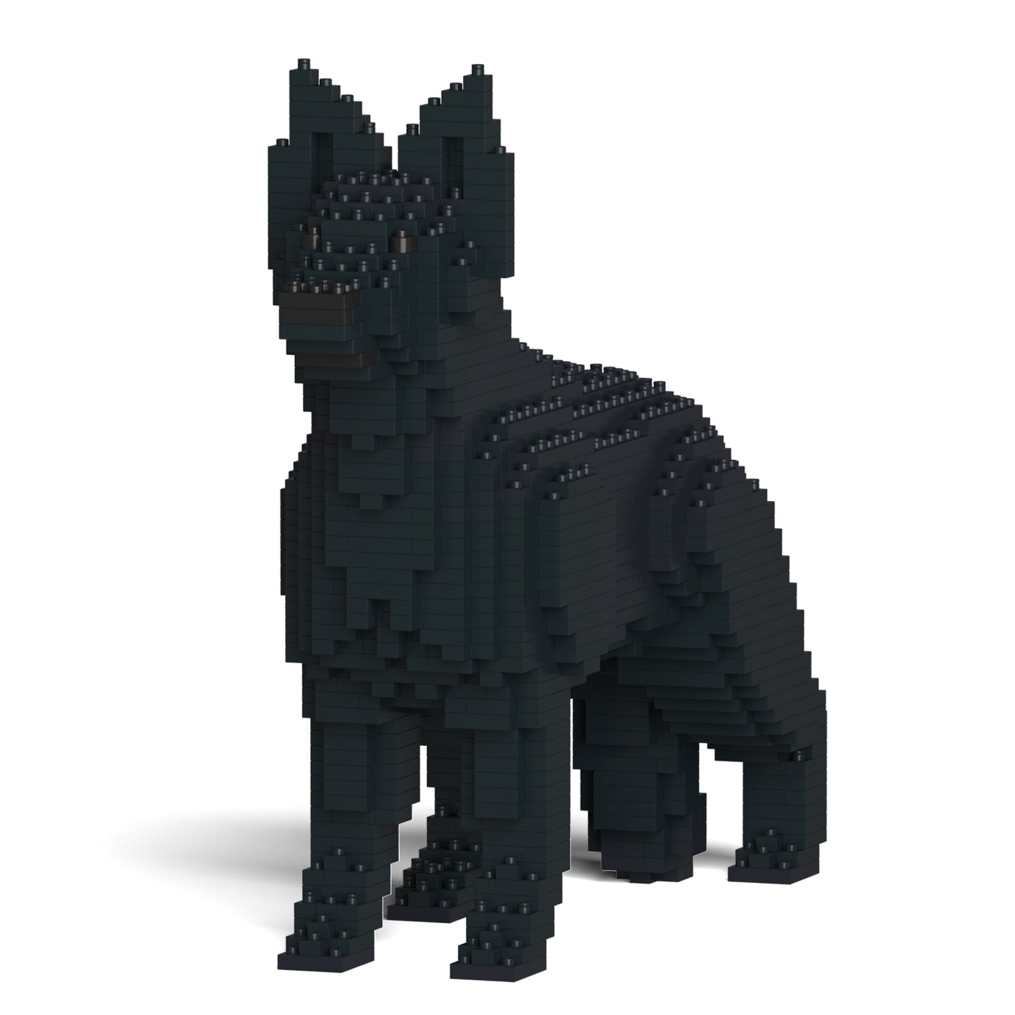 德國牧羊犬01-M03
