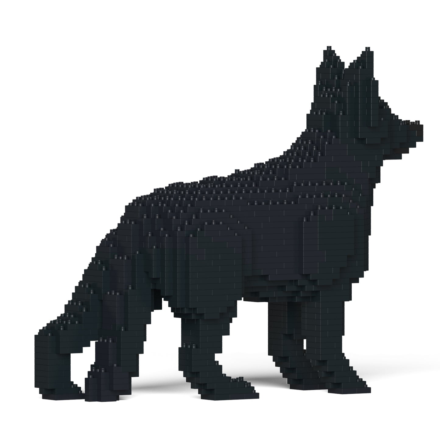 德國牧羊犬01-M03