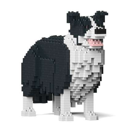 邊境牧羊犬01-M01