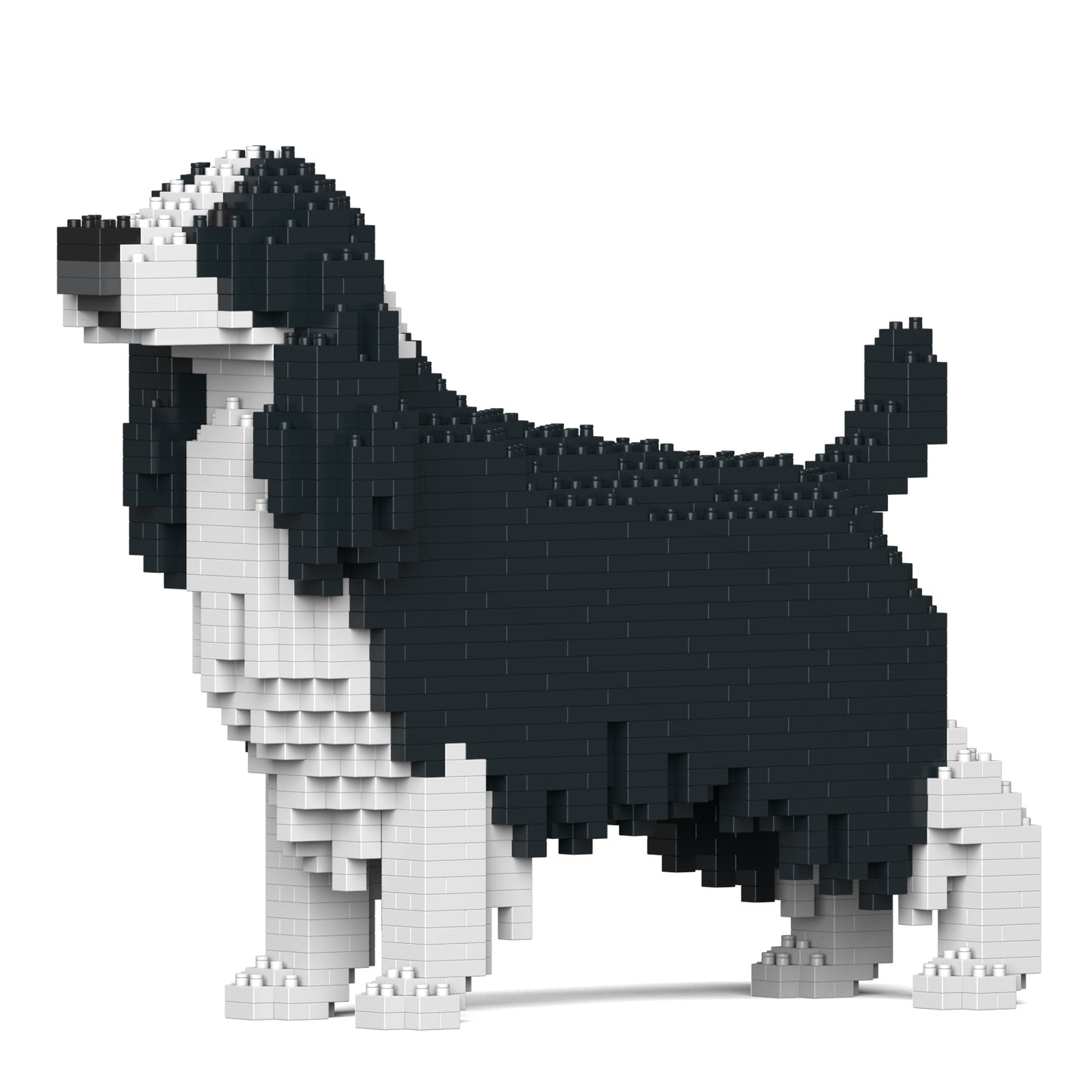 史賓格犬01-M02
