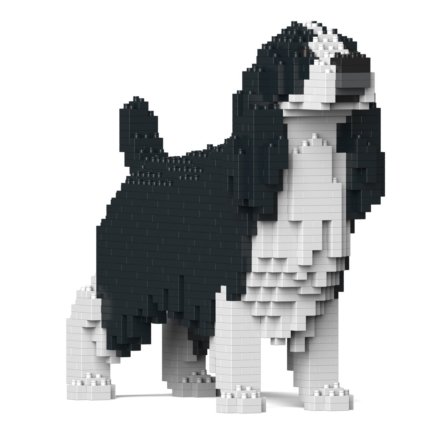 史賓格犬01-M02