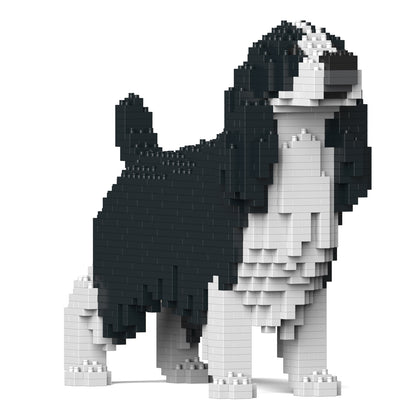 史賓格犬01-M02