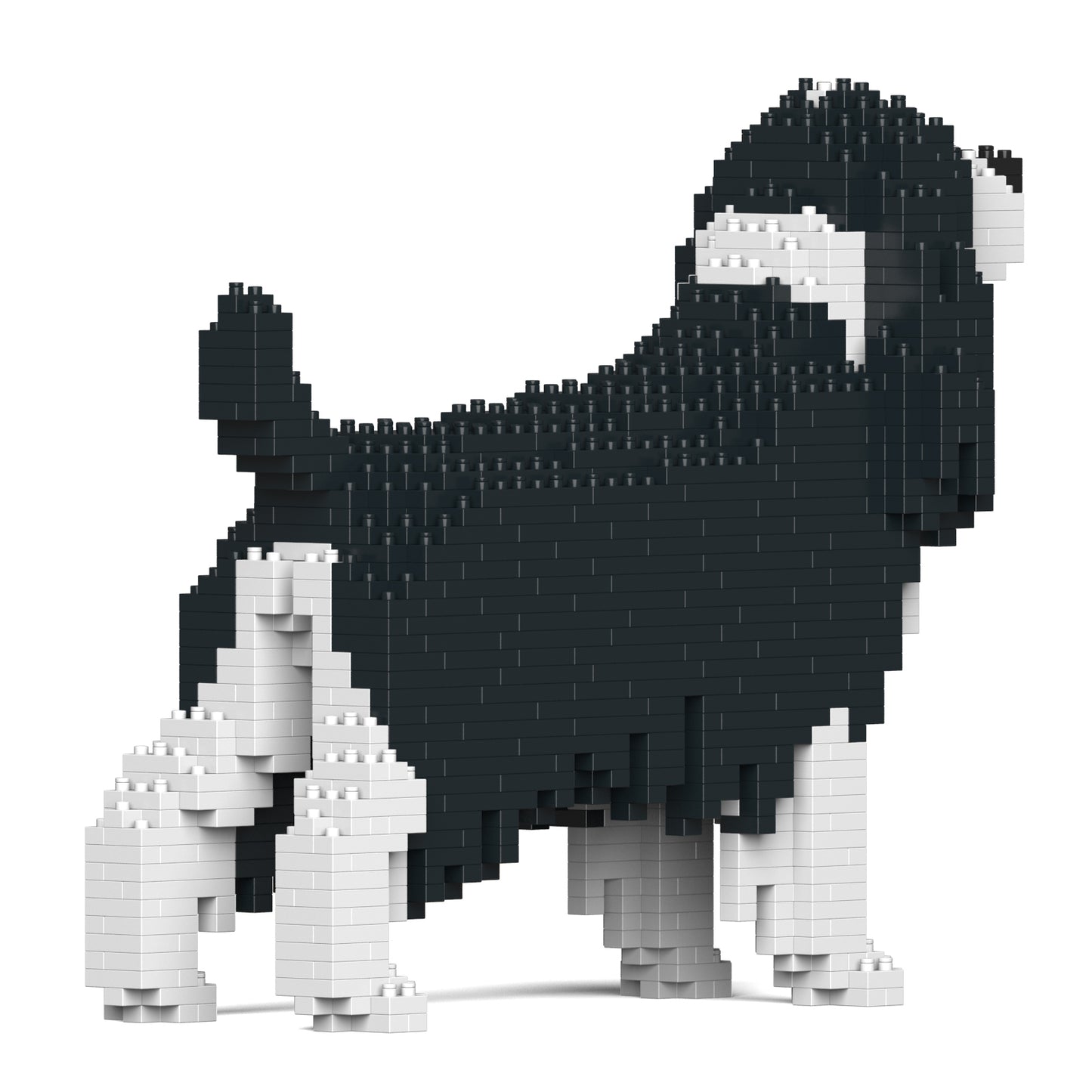 史賓格犬01-M02