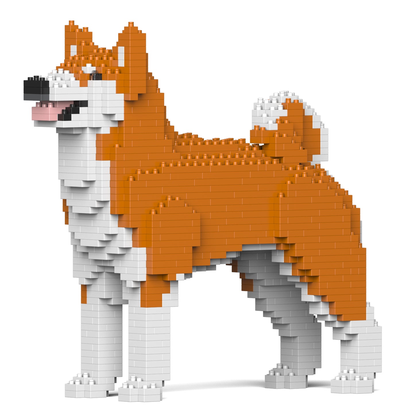秋田犬01-M01