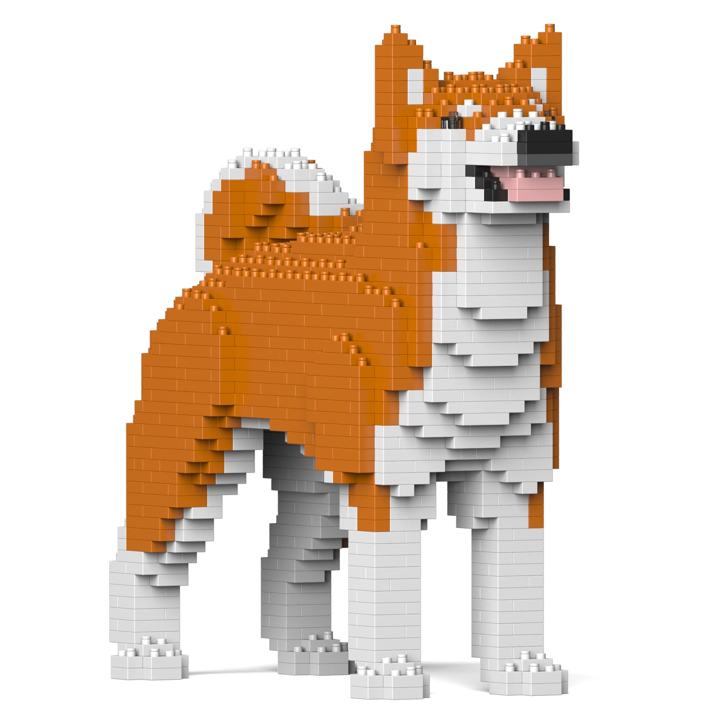 秋田犬01-M01