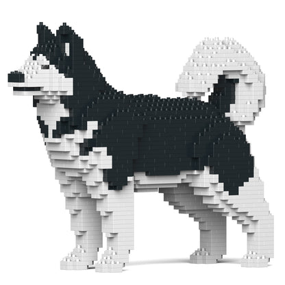 阿拉斯加雪橇犬01-M01