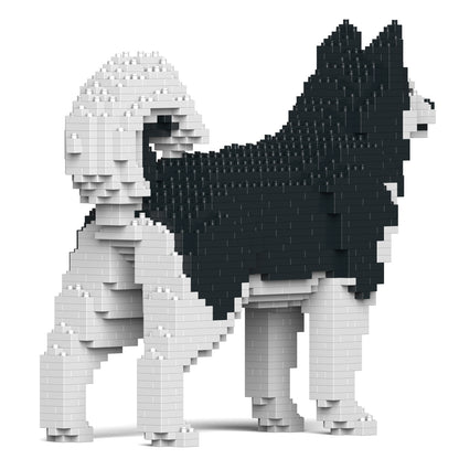 阿拉斯加雪橇犬01-M01