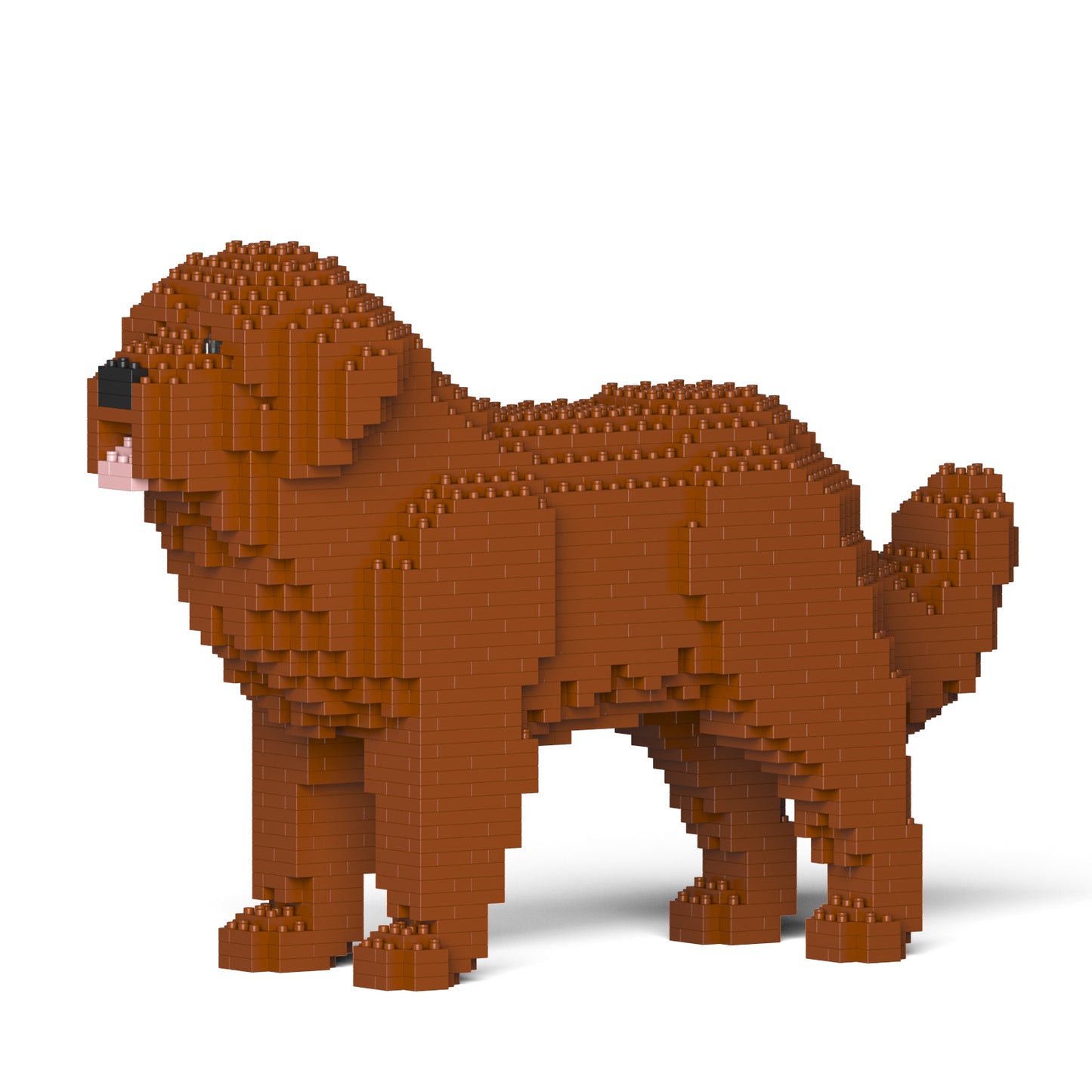 Newfoundland Dog 01-M01