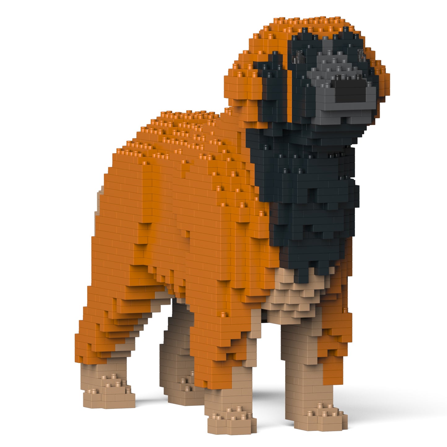 蘭伯格犬01-M01