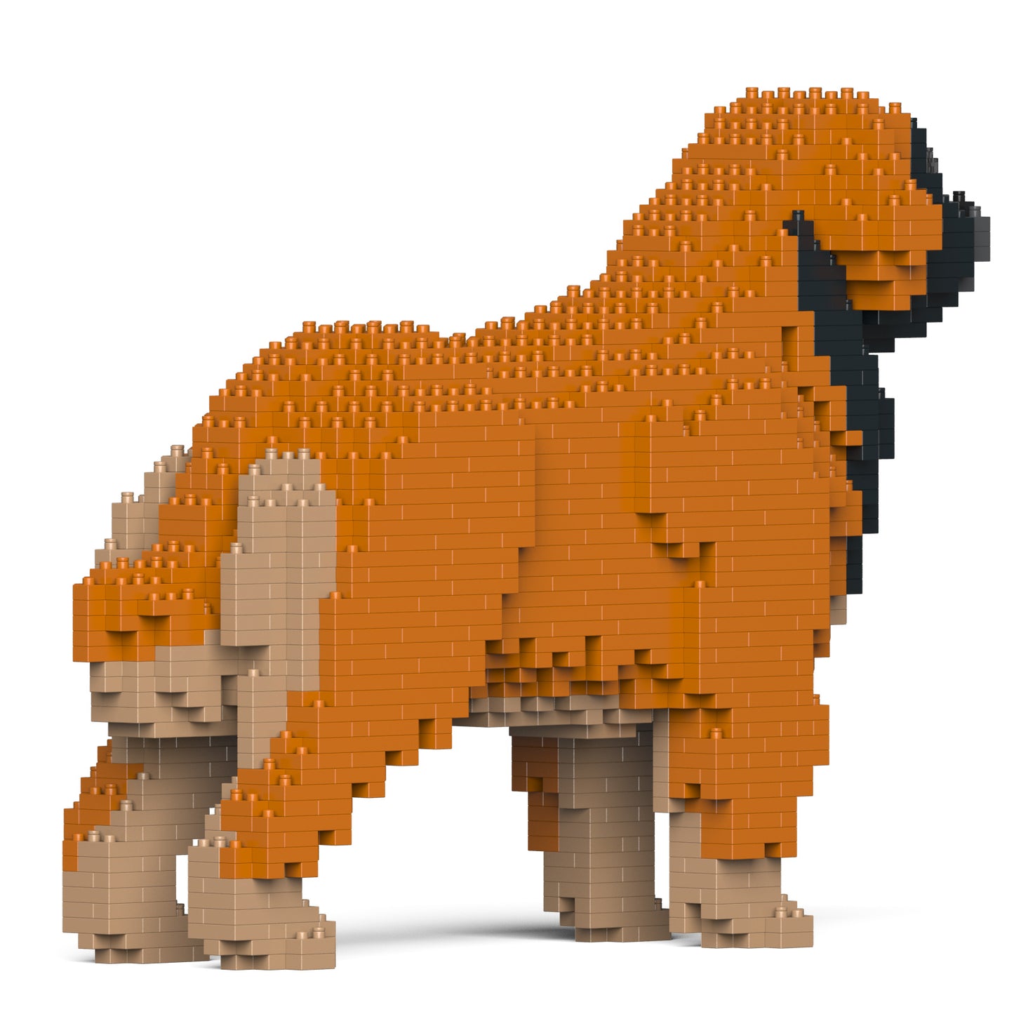蘭伯格犬01-M01