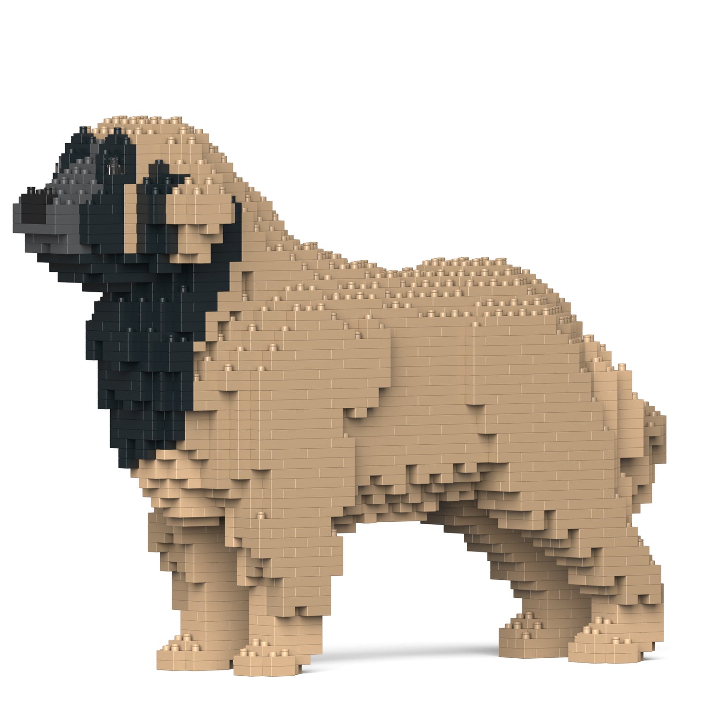 蘭伯格犬01-M02