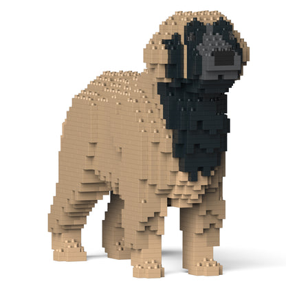 蘭伯格犬01-M02