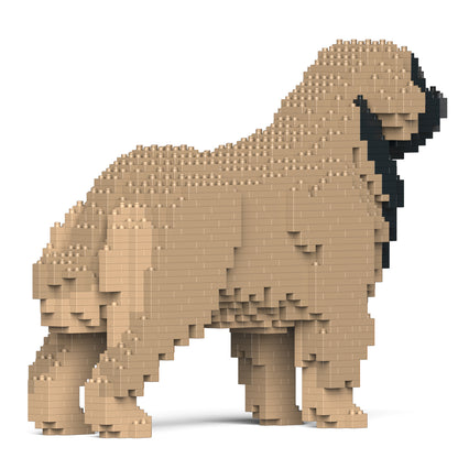 蘭伯格犬01-M02