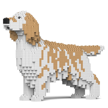 English Setter 01-M01