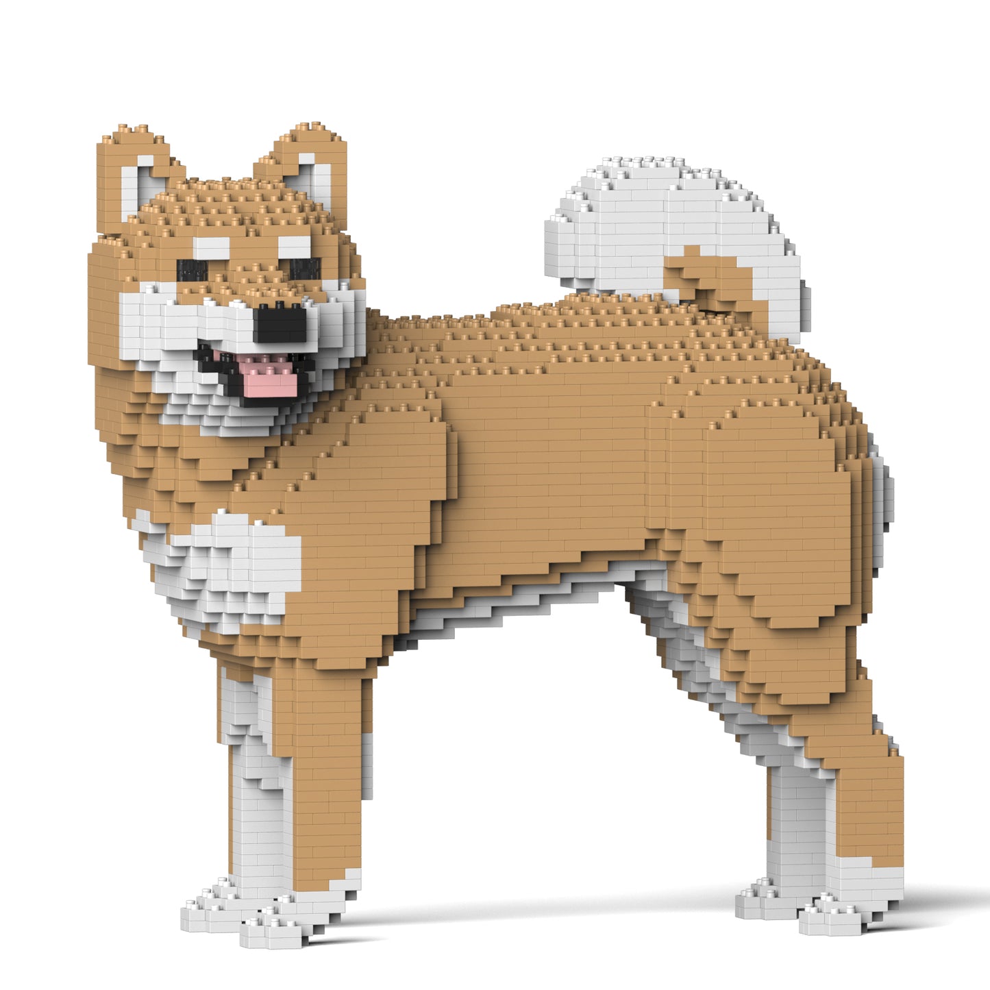 柴犬02-M02