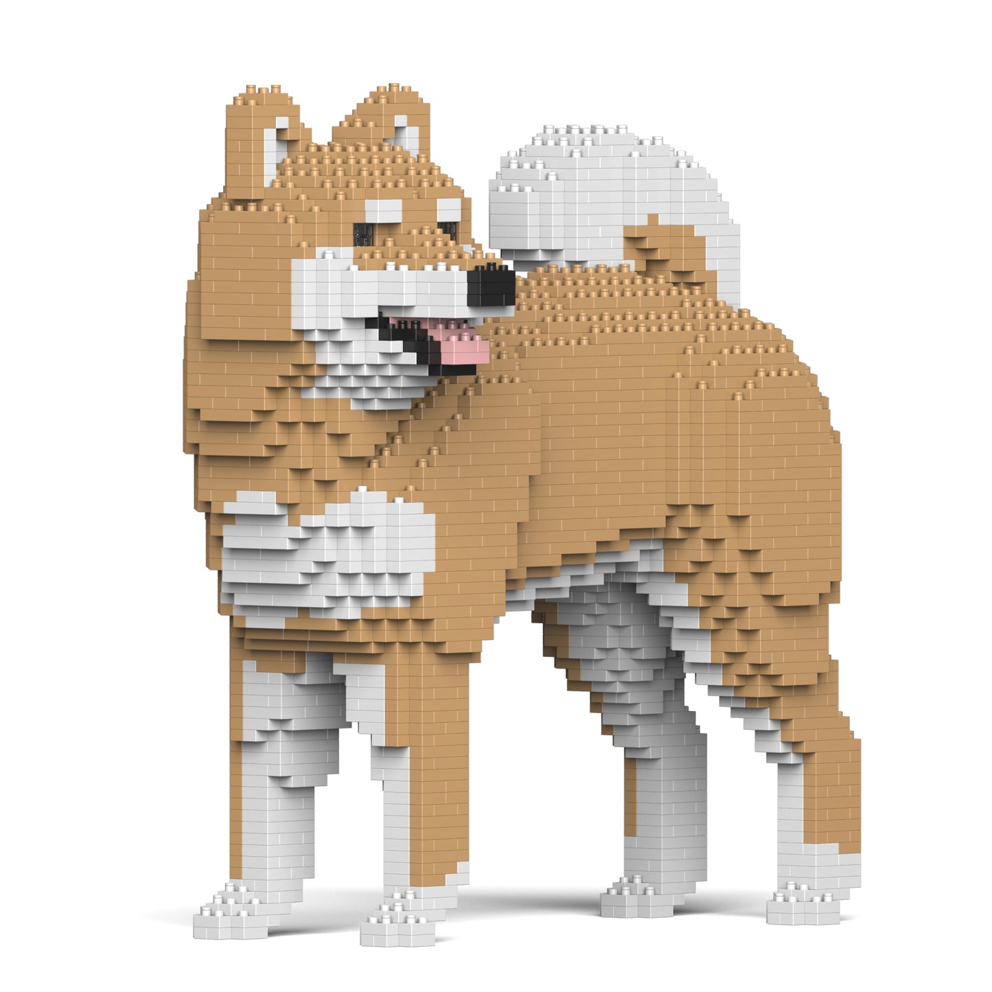 柴犬02-M02