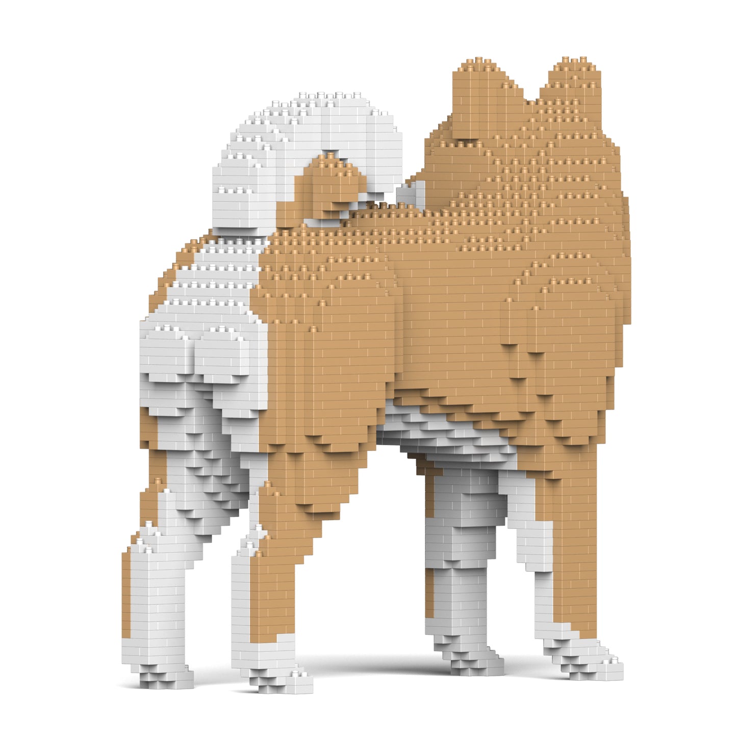 柴犬02-M02