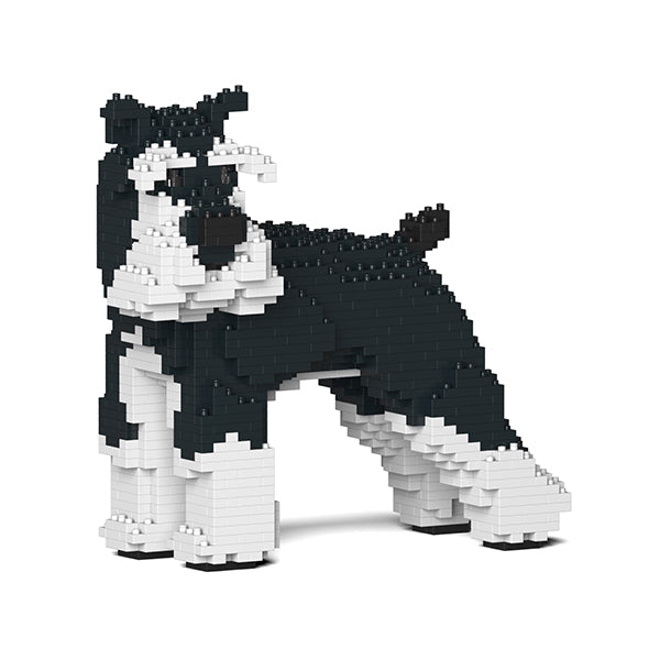 Standard Schnauzer 02-M02