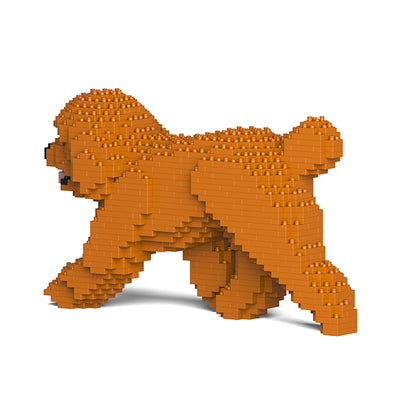 Toy Poodle 02-M04