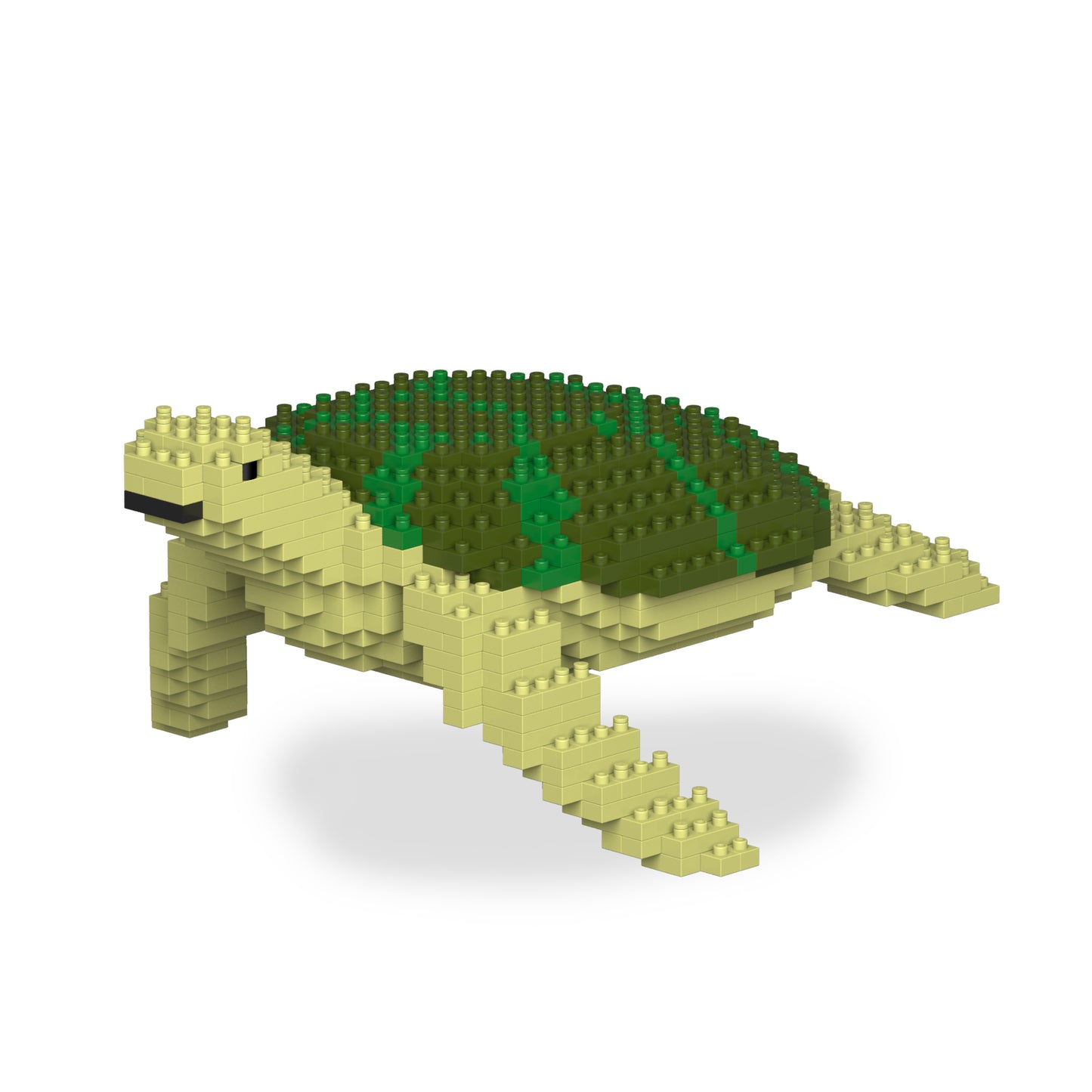 海龜01-M02