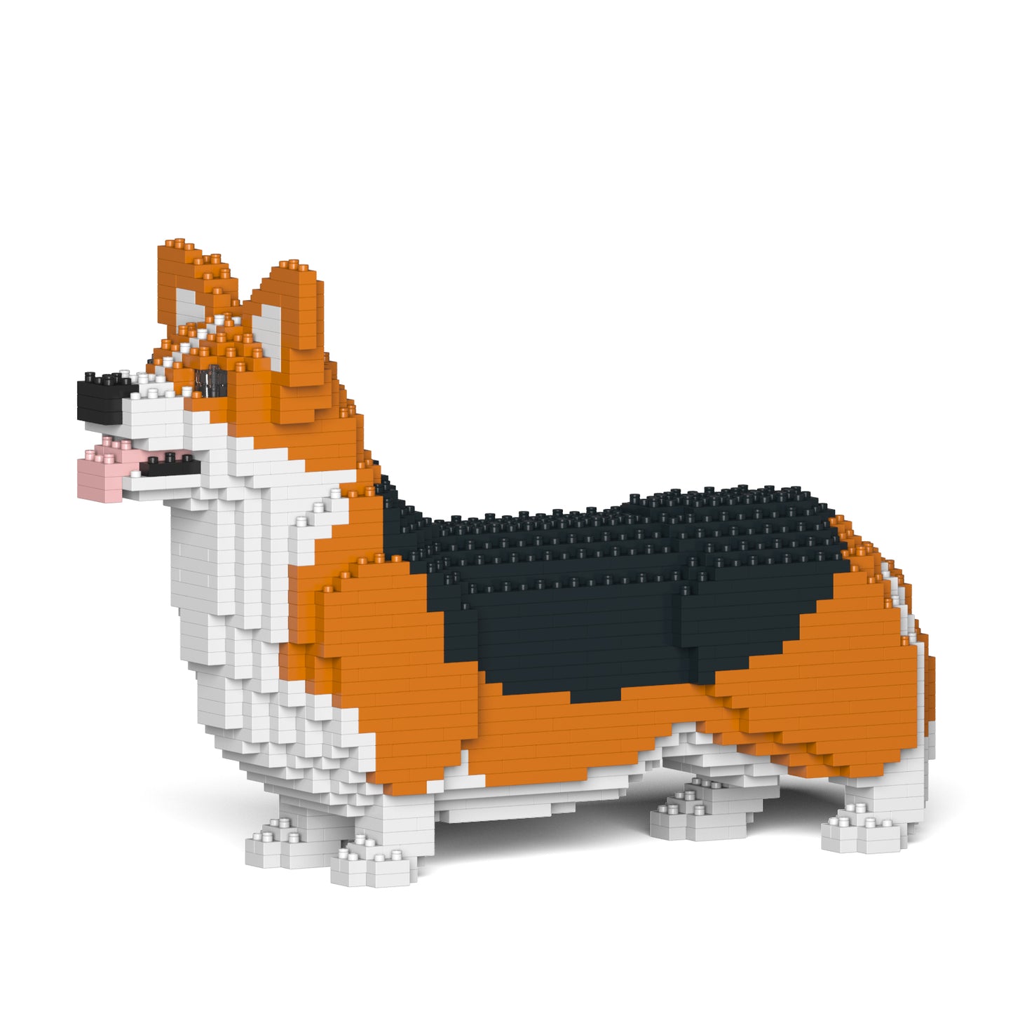 Welsh Corgi 02-M02