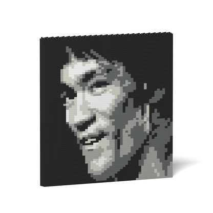 積木掛畫-李小龍04S