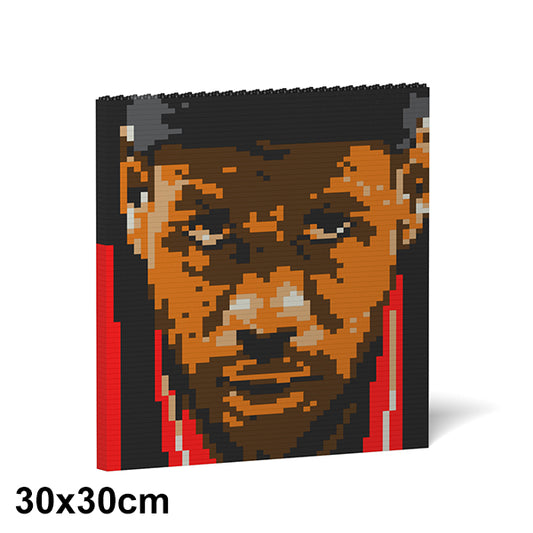 LeBron James Brick Painting 01S