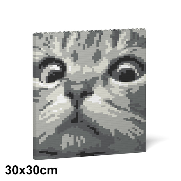 貓眼積木掛畫02S-M02