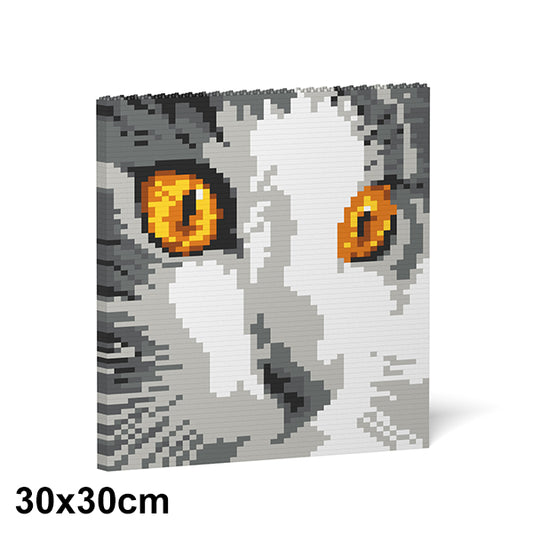 貓眼積木掛畫03S