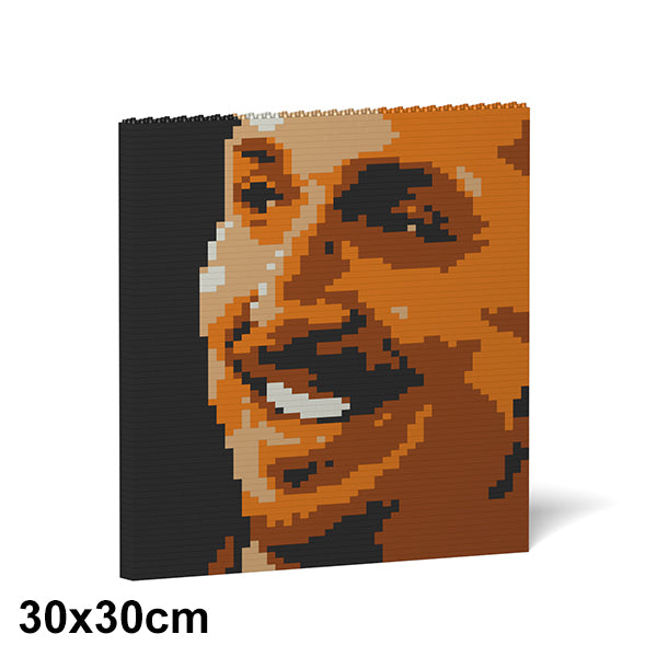 Zlatan Ibrahimovic Brick Painting 04S